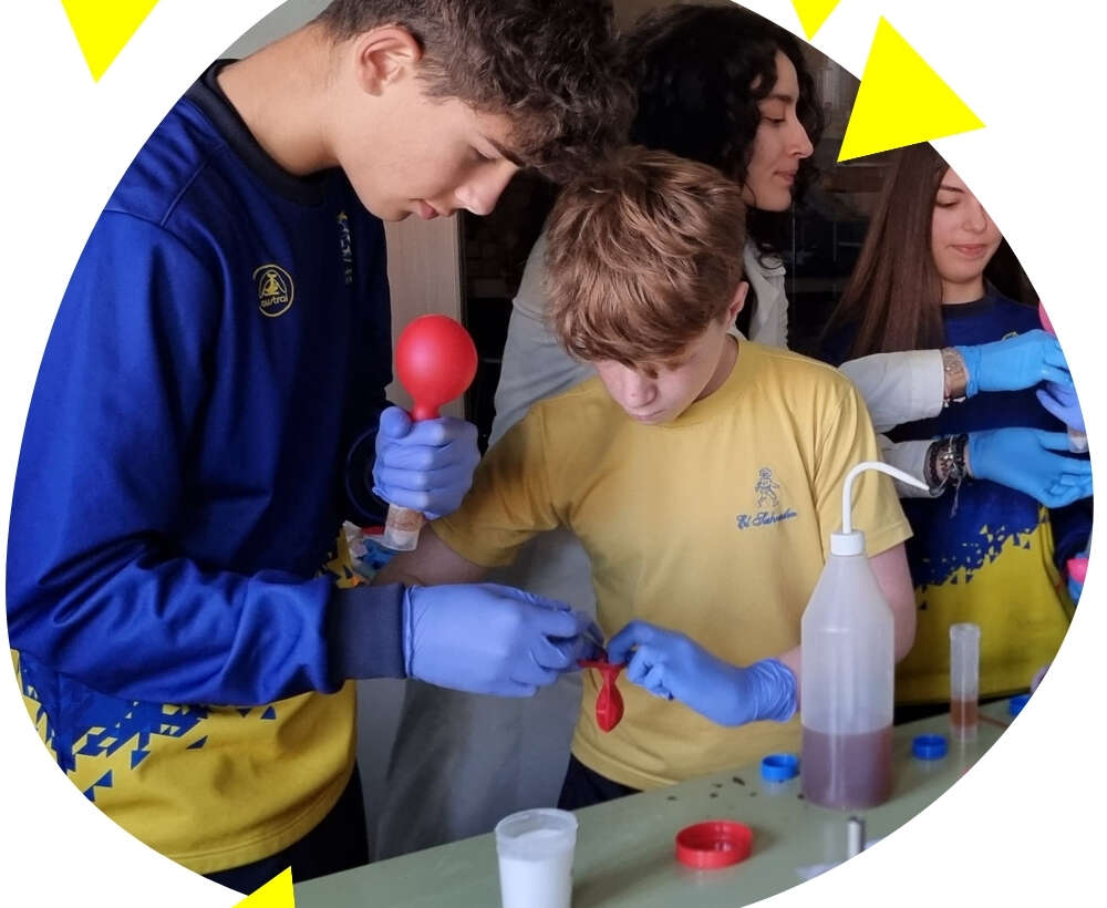Educación Secundaria Obligatoria