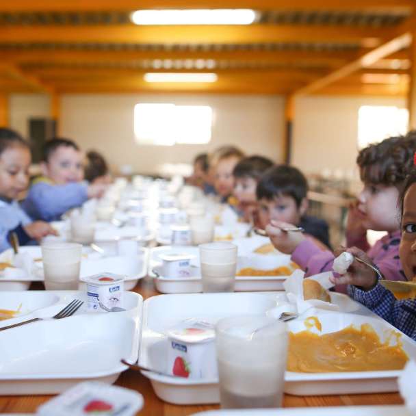 comedor escolar